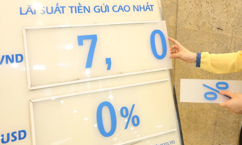 Chính phủ xem xét vay ngoại tệ trong nước