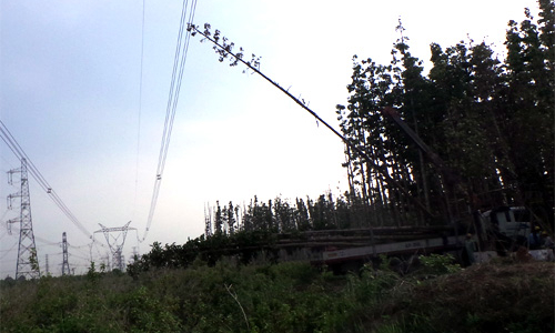 Một chiếc xe cẩu gây mất điện toàn miền Nam