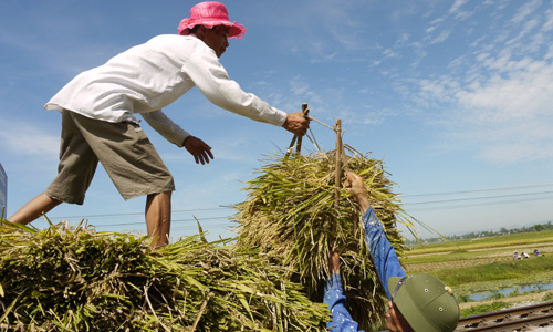 Tăng trưởng tín dụng 7 tháng: Tâm điểm “tam nông”