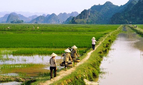 Chính phủ muốn miễn thuế đất nông nghiệp đến hết 2020