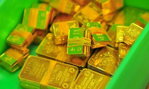 Né cú tát của “gấu vàng”