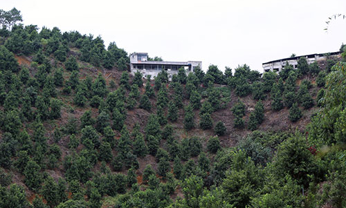 Trung Quốc cấp tập phát triển mắc-ca