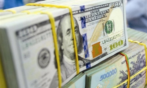 Cơ chế tỷ giá mới: Ba cấu phần và 8 đồng tiền?