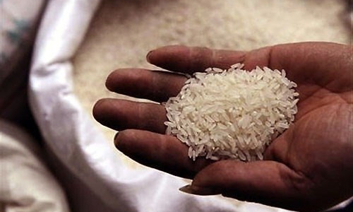 Gạo Việt lạc lõng trong bức tranh xuất khẩu nông sản sáng màu