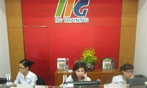 Công ty Cổ phần IIG Việt Nam 