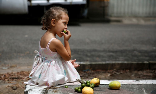 Người Venezuela ăn xoài trừ bữa