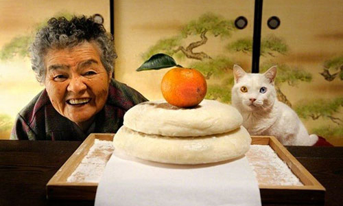 Mèo trong kinh doanh ở Nhật Bản