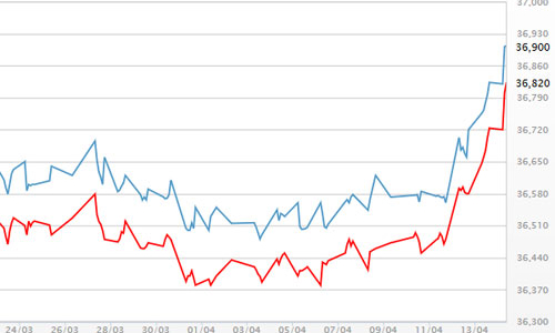 Bất ổn ở Triều Tiên đưa giá vàng lên gần 37 triệu đồng/lượng