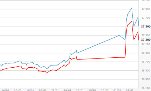 Giá vàng, USD tự do đồng loạt giảm