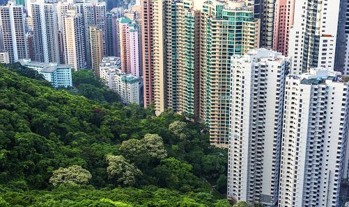 Bất động sản Hồng Kông bước vào cơn sốt mới