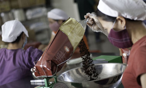 Sản lượng cà phê Việt Nam có thể rớt xuống đáy 8 năm