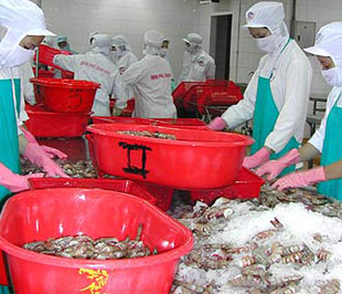 Xuất khẩu thủy sản năm 2008 vẫn đạt trên 4,5 tỷ USD 