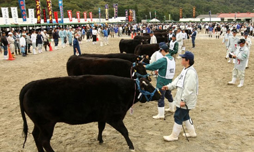 “Lời nói dối vĩ đại về thịt bò Kobe”