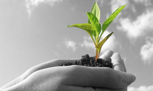 Chương trình Rồng Vàng: Ngành nông - lâm - ngư nghiệp, đồ uống - thực phẩm