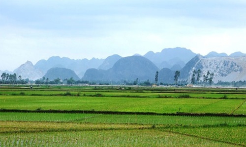 Thủ tướng cho phép lấy 1.500 ha đất lúa làm dự án