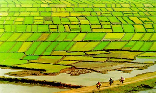 “Dân trả lại đất lúa chỉ là cá biệt”