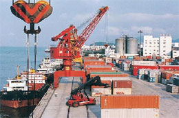 Chuyên gia “bắt bệnh” xuất khẩu của Việt Nam