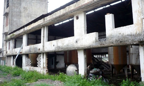 “Doanh nghiệp ốm đau què quặt thì cứu làm gì?”