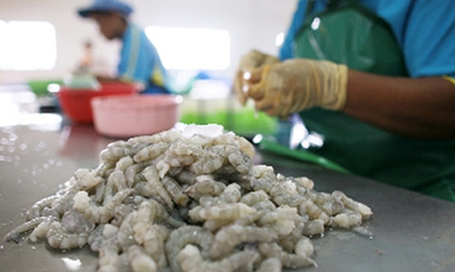 Chính thức ban hành một số giải pháp gỡ khó cho doanh nghiệp