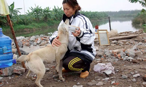 Hải Phòng công bố dừng thu hồi, giao, cho thuê đất bãi bồi