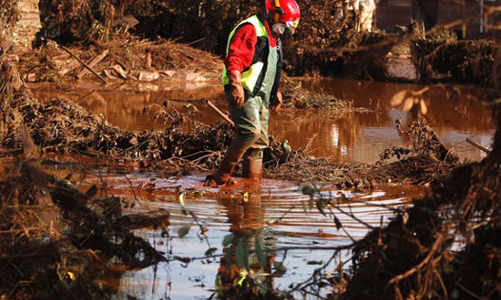 Bùn đỏ bắt đầu đe dọa sinh thái châu Âu