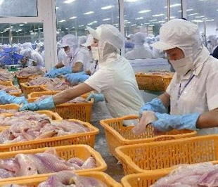 Xuất khẩu nông sản: Lượng tăng, giá giảm