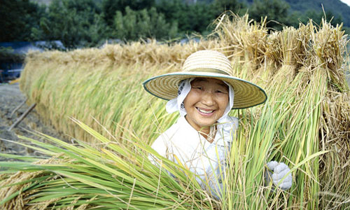 TPP “chết”, Nhật không muốn thỏa thuận song phương với Mỹ