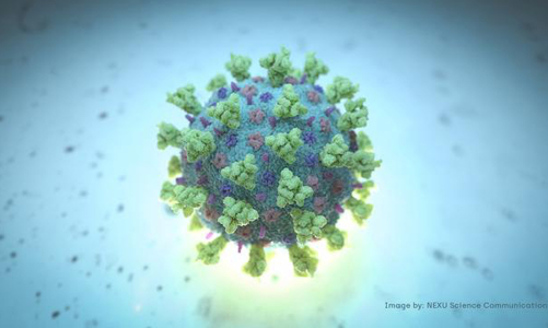 Nhờ bước tiến trong điều trị, tỷ lệ tử vong do Covid-19 giảm mạnh ở Mỹ