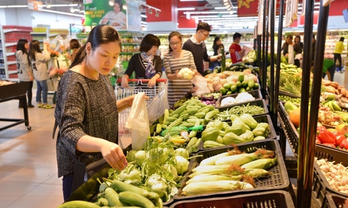 Vingroup mở chương trình quy mô lớn hỗ trợ sản xuất nội địa