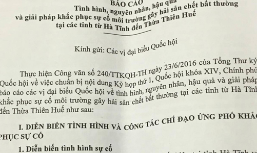 9 dòng kiểm điểm trách nhiệm trong báo cáo riêng về Formosa
