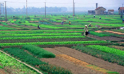 Sửa Luật Đất đai: Bớt ưu tiên Nhà nước