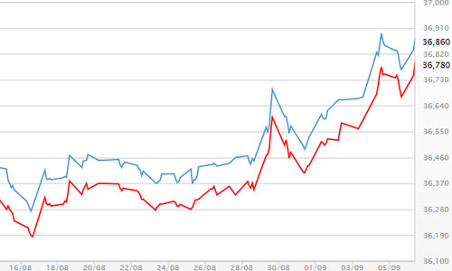 Giá vàng trong nước gần ngang giá thế giới