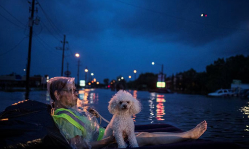 Texas chìm trong biển nước sau cơn bão lịch sử Harvey