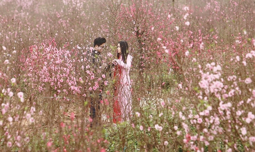 Nông dân trồng hoa hy vọng vào thời tiết 