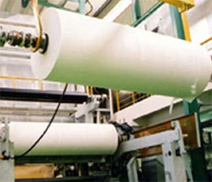 Nghịch lý nguyên liệu ngành giấy