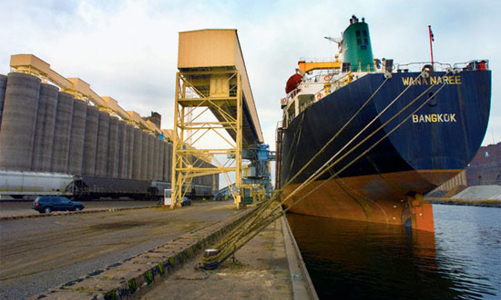 Nghỉ Tết khiến xuất nhập khẩu tháng 2 giảm mạnh