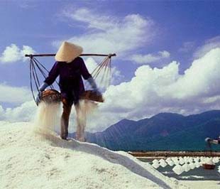 Muối không nuôi nổi diêm dân