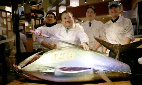 Thăm chợ đấu giá cá ngừ đầu năm ở Nhật Bản