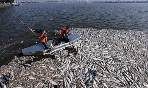 Cá hồ Tây chết 200 tấn, yêu cầu Bộ Công an vào cuộc