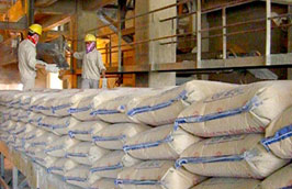 Năm 2011 có thể xuất khẩu 1,5 triệu tấn xi măng