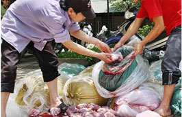 Từ 1/10, tạm ngừng tạm nhập tái xuất phủ tạng động vật