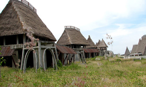 Tiếp tục tranh cãi quanh dự án Rusalka