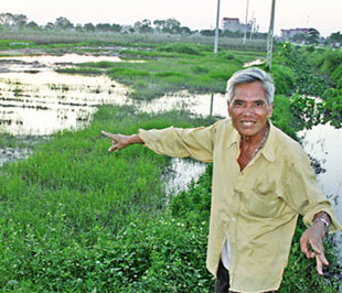 Hà Nội sau một năm mở rộng: Những nông dân không đất