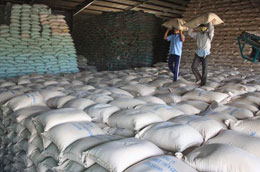 “Nóng bỏng” kho chứa gạo