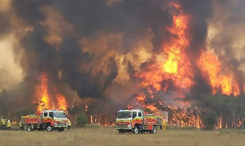 Thảm họa cháy rừng ở Australia qua những con số