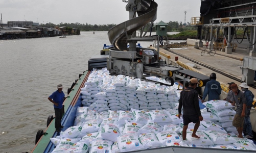 Dự thảo Luật Trồng trọt: Phân bón nhập khẩu làm... quà tặng