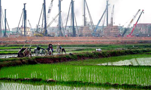 Đầu tư bất động sản sẽ “mệt” với nghị định về quản lý đất lúa?