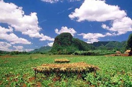 Kinh tế Cuba gặp nhiều khó khăn