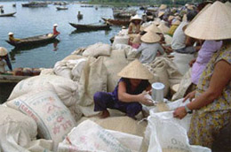 Mua tạm trữ 500.000 tấn gạo được hỗ trợ 100% lãi suất vay vốn