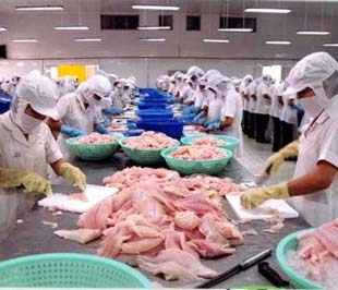 Đôi điều cần biết khi xuất hàng vào thị trường Hồi giáo